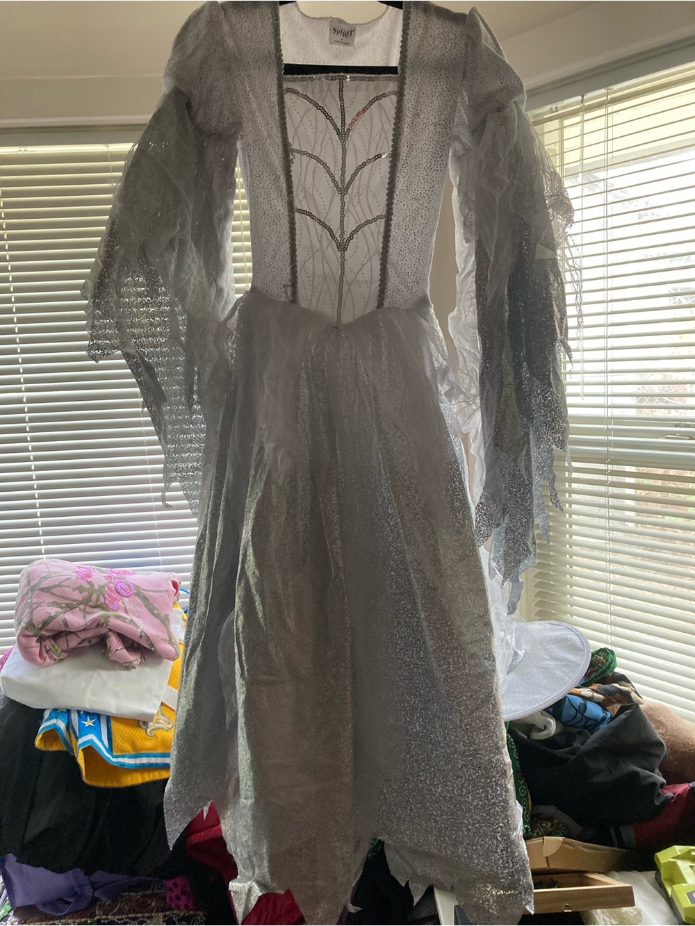Spirit Silver Sparkle Ghost Princess Costume
